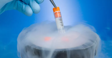 Egg Freezing in Vadodara Gujarat