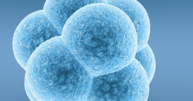 Recurrent Implantation Failures